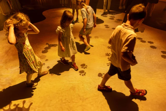 Children engaging with Colors of Creation, an interactive family-friendly museum experience at The Weitzman Museum in Philadelphia